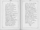 С. 250 – 251 Нащо мені женитися…