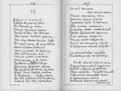 С. 306 – 307 І виріс я на чужині…